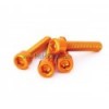 Monty Alloy Bolt M5x23