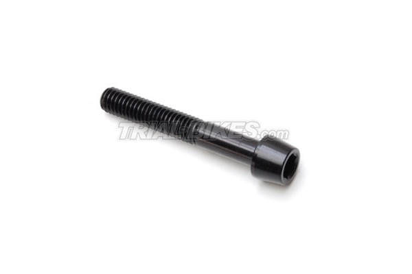 Tornillo Aluminio Tapón Dirección M6x40 (1 und)
