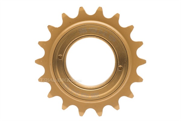Piñon Echo SL Titanio 108