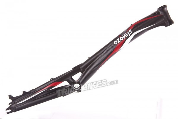 Cuadro Ozonys Curve V3 20"