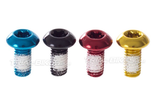 Kit tornillos Ashima Torx para fijacion del disco ( 12unds)