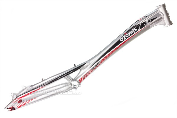 Cuadro Ozonys Curve Hyd V5  20"