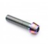 Tornillo de titanio Clean M6