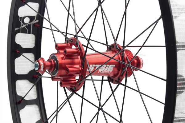 Rueda trasera Hashtagg 19'' + Buje Jitse Race Disco *****