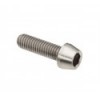 Jitsie M6x20mm Titanium Bolt