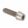 Tornillo de titanio Racing Line M6x22mm