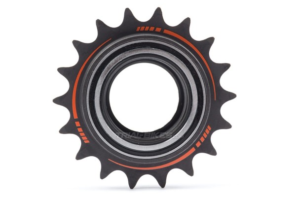 Piñón Monty ProRace 135.9  2016