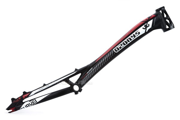 Cuadro Ozonys Curve Hyd V7 20''