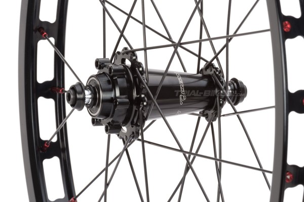 Clean X2 20'' Front Disc Wheel