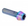 Tornillo de titanio Clean M5