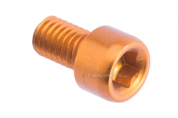 Monty M6x10mm Bleed Bolt