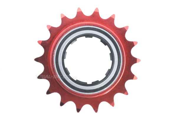 Piñón Clean 135.9 Cassette