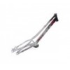 Cuadro Koxx Foxx Infantil 20''