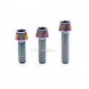 Tornillo de titanio Clean M6