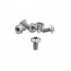Kit tornillos titanio disco Jitsie M5x10mm