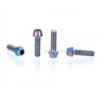 Tornillo de titanio Clean M5