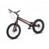 Bicicleta Echo Ti Pro 20''