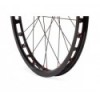 Clean X2 20'' Front Disc Wheel
