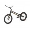 Rockman Ash 20'' Bike
