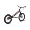 Echo Ti Pro 20'' Bike