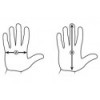 Guantes Breath V2