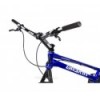 Breath Tomorrow 20'' Bike