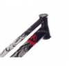 Cuadro Koxx Foxx Infantil 20''