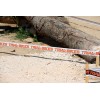 TrialBikes section tape white (250m)