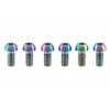 TrialBikes Works Titanium M5x10mm Rotor Bolts