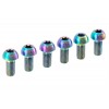 Kit tornillos titanio disco TrialBikes Works M5x10mm