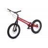 Echo Team 20” Bike