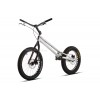 Echo Lite 20" Bike