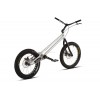 Echo Lite 20" Bike