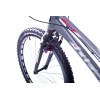 Clean X2 26'' WC Edition Bike