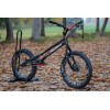 Bicicleta Echo Mk6 Infantil TB 20" Edición Limitada