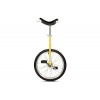 Only One 20" Unicycle