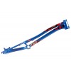 Cuadro TMS EVO6 20R