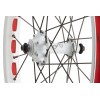 Monty 221 Kamel 20'' Front Disc Wheel