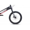 Breeth Carbon Pro TB 20” Bike