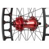 Rear wheel Clean 19" + hub Free Wheel Clean Disc 120 mm
