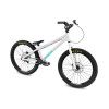 Inspired Fourplay Pro 24" Bike