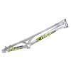 Cuadro Comas Kala 20"