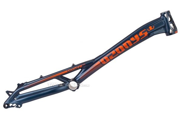 Cuadro Ozonys Curve 20" 2024