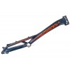 Cuadro Ozonys Curve 20" 2024