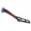 Cuadro Ozonys Curve 20" 2024
