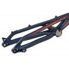 Cuadro Ozonys Curve 20" 2024
