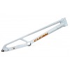 Cuadro Clean K1 20" X Anniversario