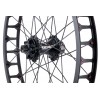 Clean 19" Rear Wheel + Clean E.series Freehub Disc