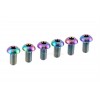 Kit tornillos titanio disco Clean Trials (6 uds.)