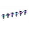Clean Trials Titanium Rotor Bolts (6 pcs.)